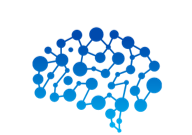 Brain Network